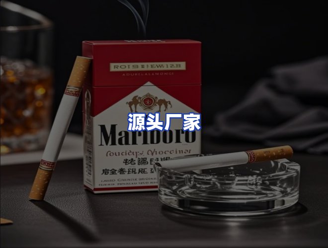 专业团队